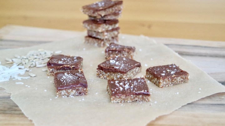 Healthy squares with coconut and cocoa topping